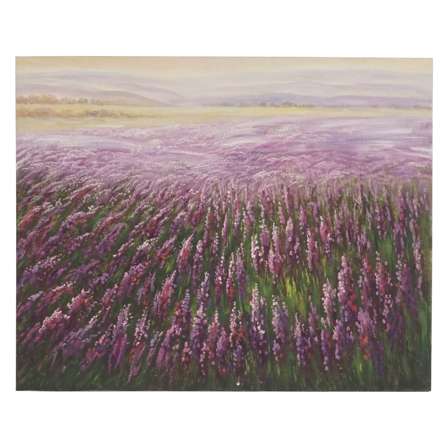 Olieverfschilderij Bloemenveld, 100% handgeschilderde muurschildering XL, 100x80cm